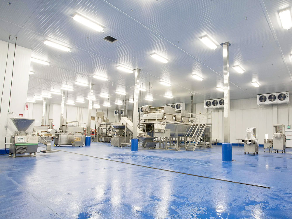 潔凈車(chē)間頂部照明：選對(duì)燈具，守護(hù)微塵禁區(qū)